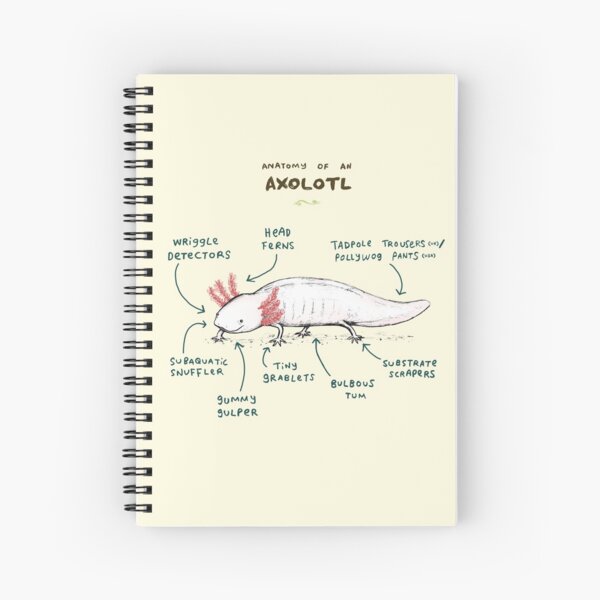 Anatomy of an Axolotl Spiral Notebook