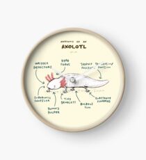Anatomy of an Axolotl Clock