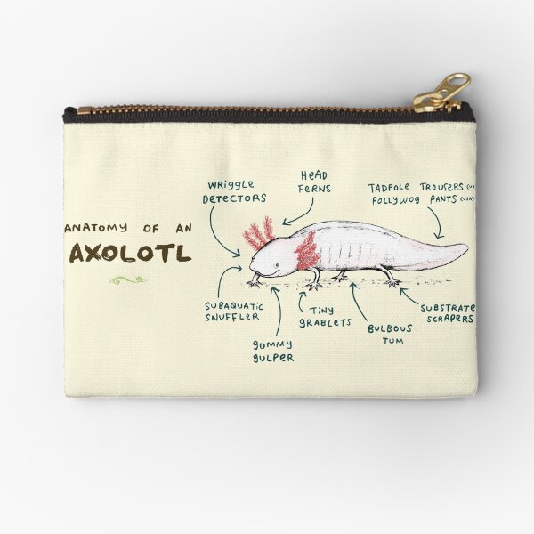 Anatomy of an Axolotl Zipper Pouch