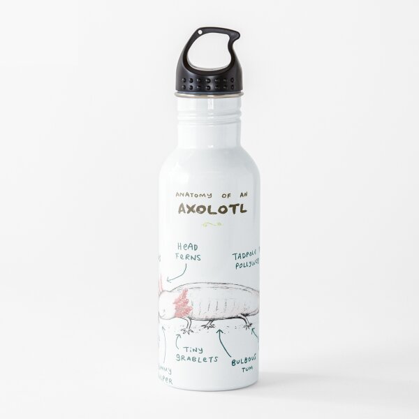 Anatomy of an Axolotl Water Bottle