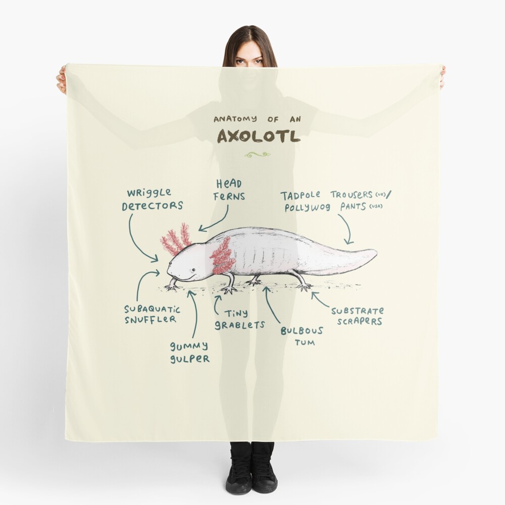 "Anatomy of an Axolotl" Scarf by SophieCorrigan Redbubble