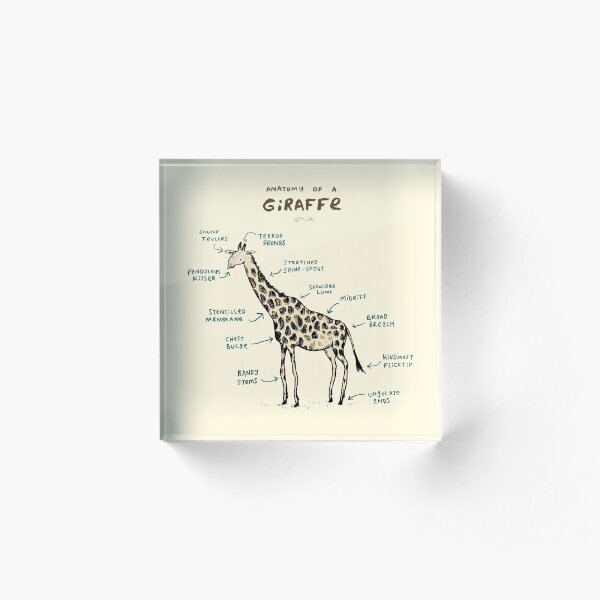 Anatomy of a Giraffe Acrylic Block