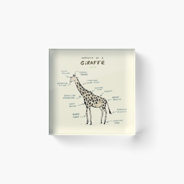 Item preview, Anatomy of a Giraffe designed and sold by SophieCorrigan.