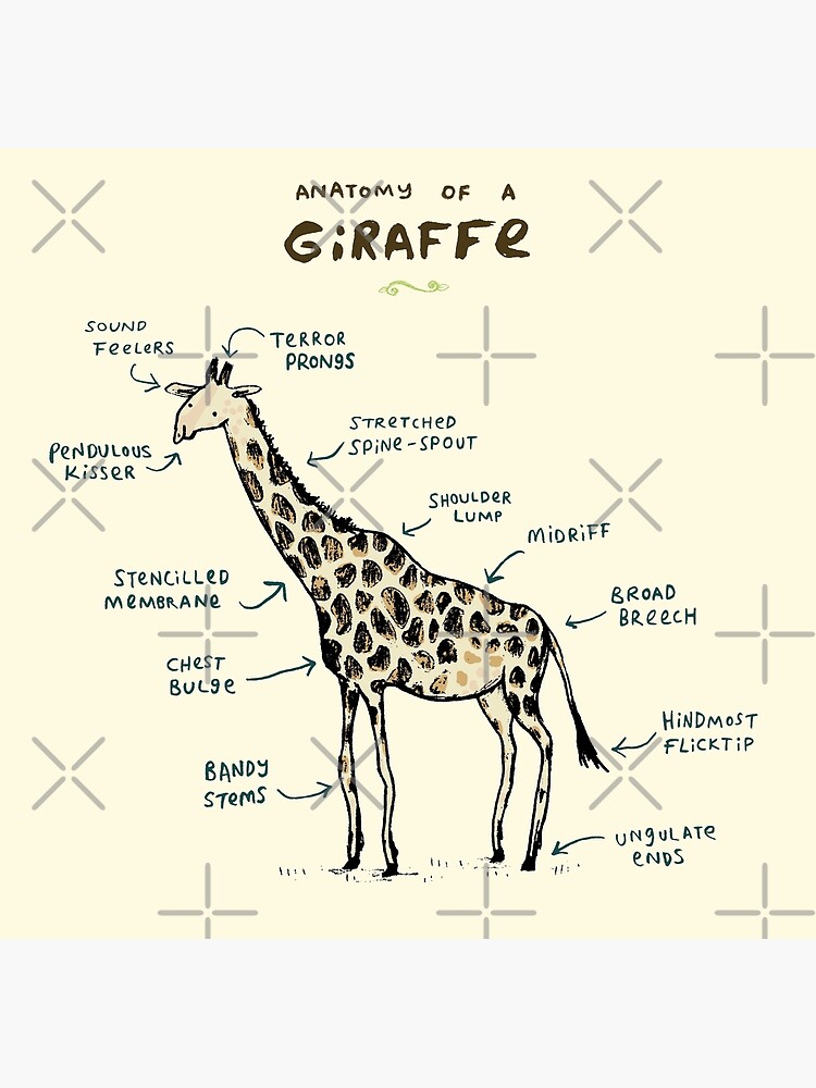 "Anatomy of a Giraffe" Framed Art Print for Sale by SophieCorrigan