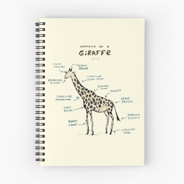 Item preview, Anatomy of a Giraffe designed and sold by SophieCorrigan.
