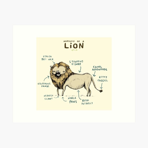 Aperçu de l'œuvre Anatomie d'un lion créée et vendue par Sophie Corrigan.