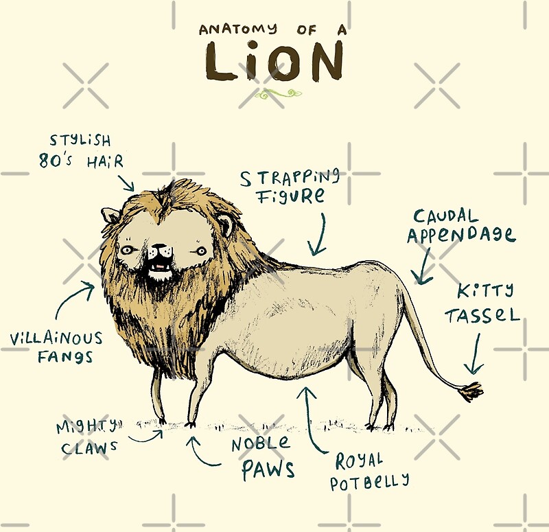 "Anatomy of a Lion" by Sophie Corrigan | Redbubble