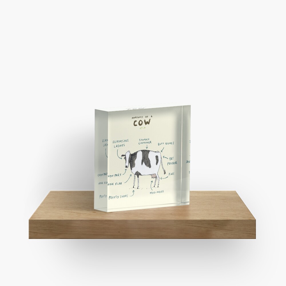 Anatomy of a Cow Acrylic Block