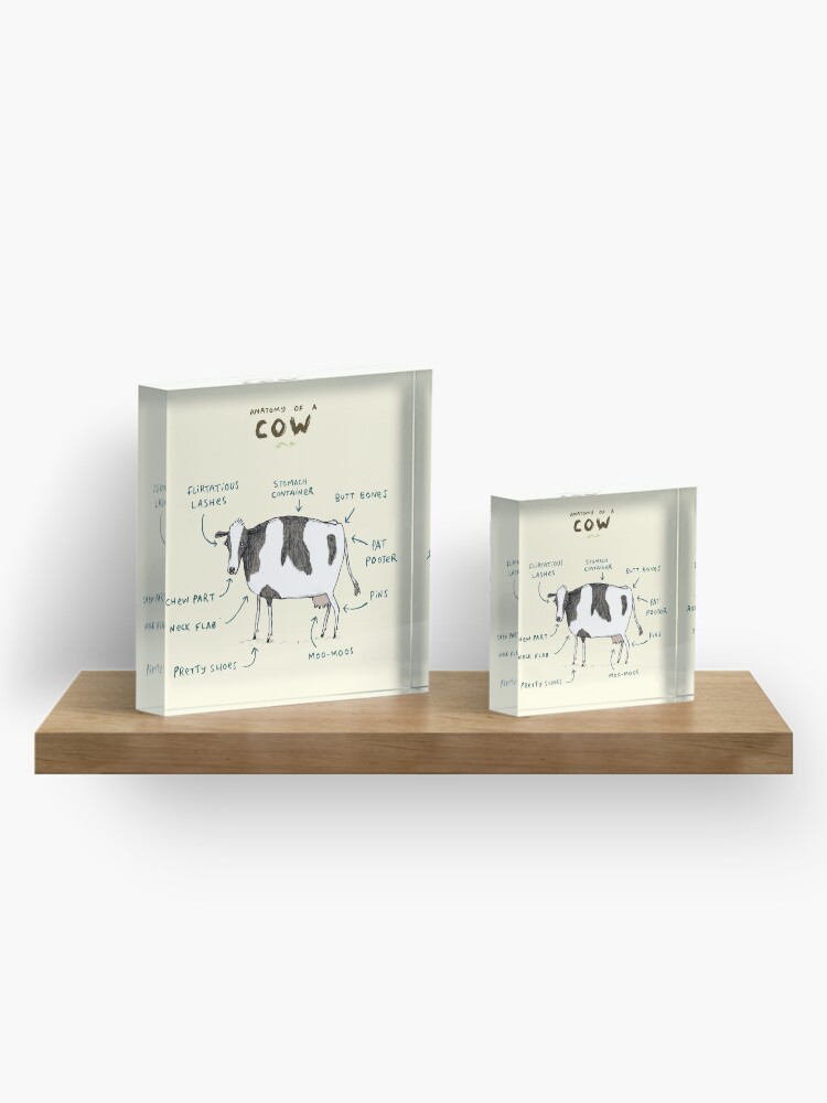 Alternate view of Anatomy of a Cow Acrylic Block