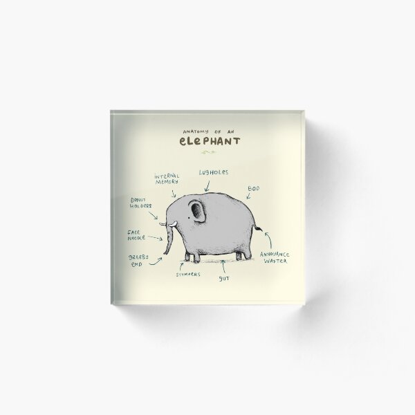 Anatomy of an Elephant Acrylic Block