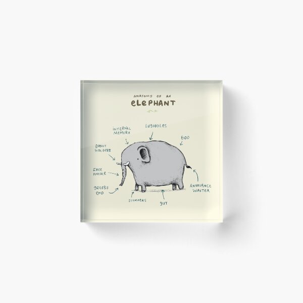 Anatomy of an Elephant Acrylic Block