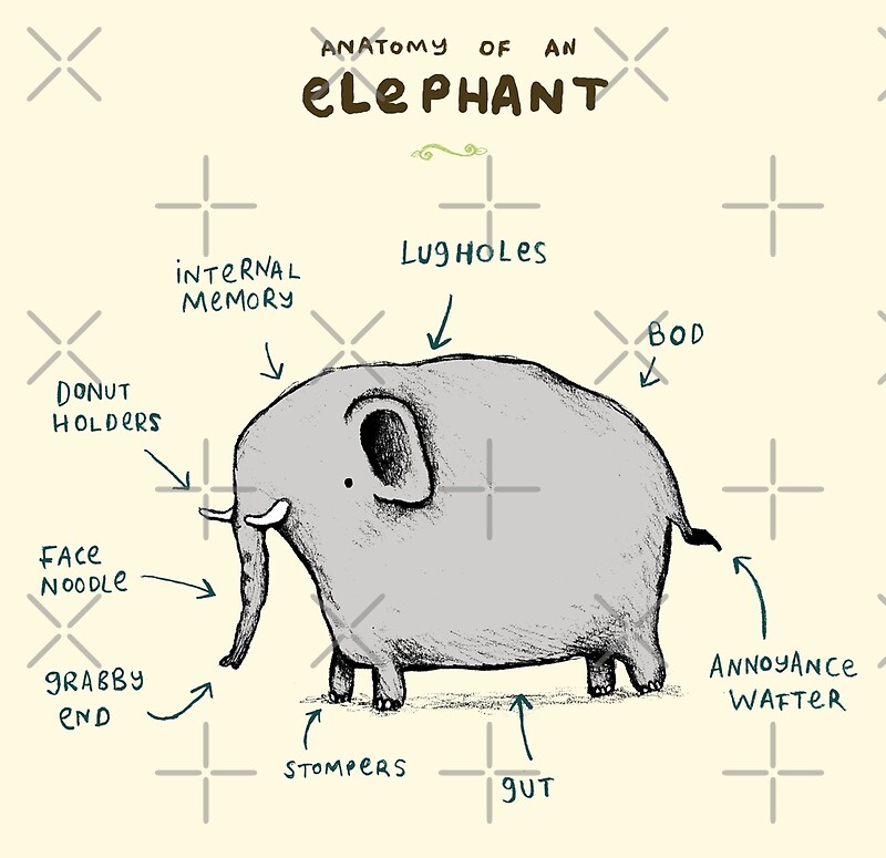 "Anatomy of an Elephant" by Sophie Corrigan Redbubble