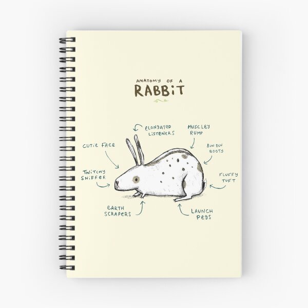 Item preview, Anatomy of a Rabbit designed and sold by SophieCorrigan.