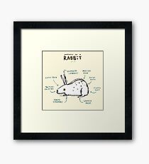 Anatomy of a Rabbit Framed Print