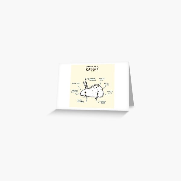 Anatomy of a Rabbit Greeting Card
