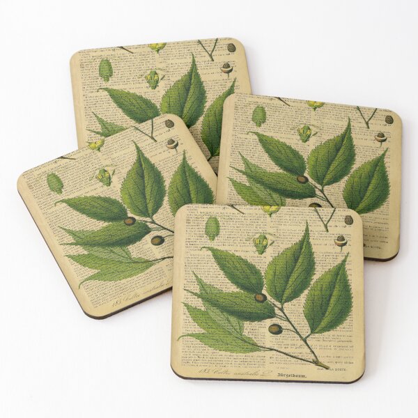 Item preview, Botanical print on old book page designed and sold by Art by Lilia.