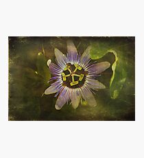 Who You Really Are Photographic Print