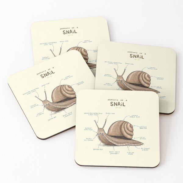 Item preview, Anatomy of a Snail designed and sold by SophieCorrigan.