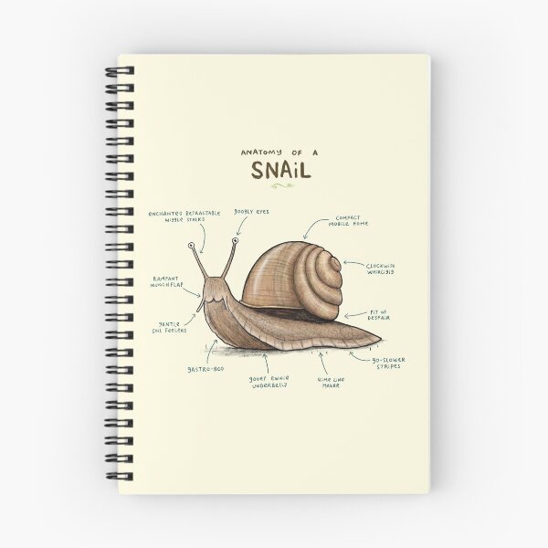 Item preview, Anatomy of a Snail designed and sold by SophieCorrigan.