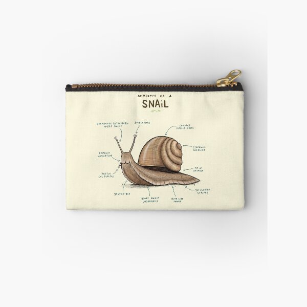 Item preview, Anatomy of a Snail designed and sold by SophieCorrigan.