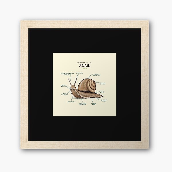 Snail - George - Paintings & Prints, Childrens Art, Other Childrens Art -  ArtPal