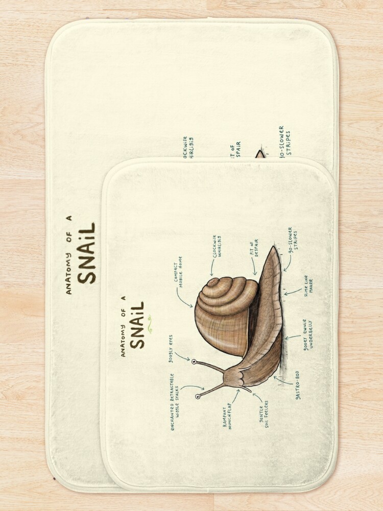 Alternate view of Anatomy of a Snail Bath Mat