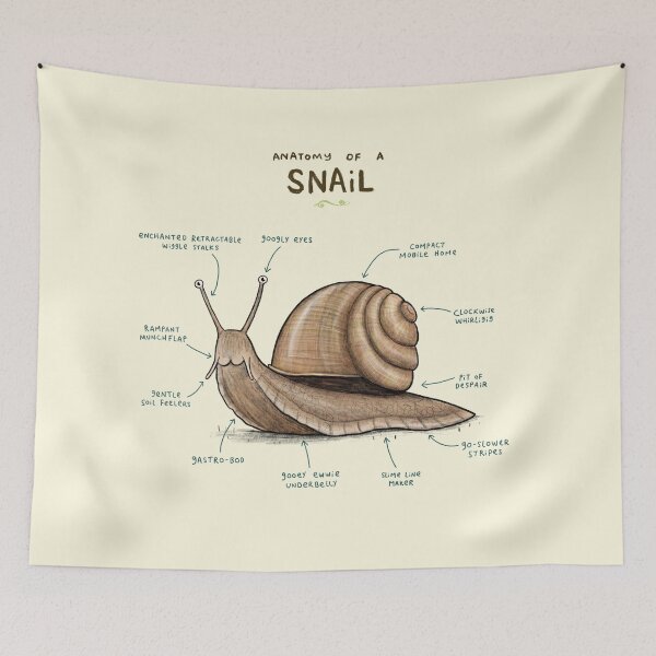 Item preview, Anatomy of a Snail designed and sold by SophieCorrigan.
