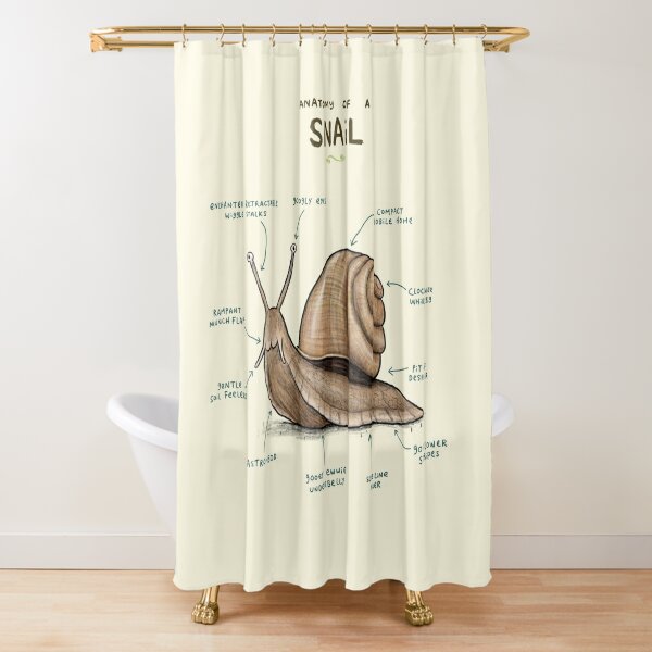 Frog Shower Curtains for Sale - Pixels Merch