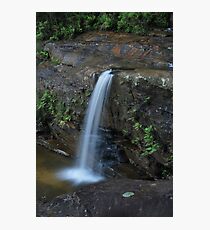 First Drop Wentworth Falls...14-11-10. Photographic Print