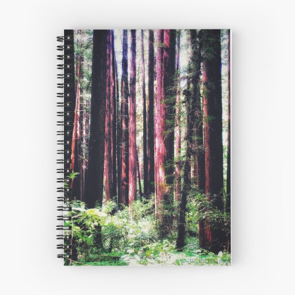 Item preview, California Redwoods 1 designed and sold by brunoanjoloart.
