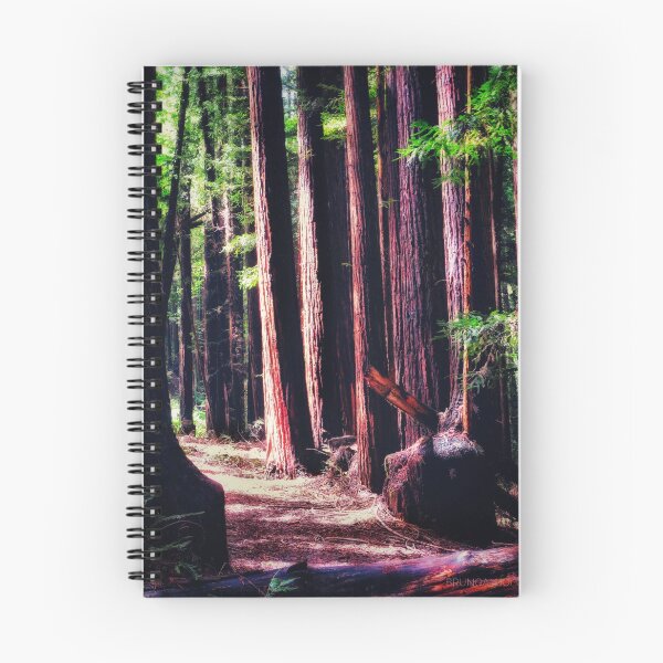 Item preview, California Redwoods 2 designed and sold by brunoanjoloart.