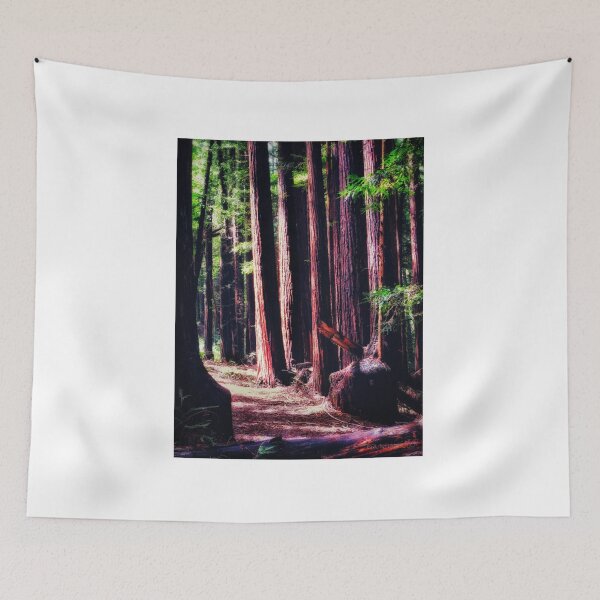 Item preview, California Redwoods 2 designed and sold by brunoanjoloart.