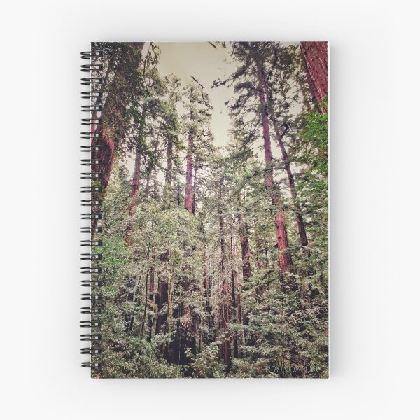 Item preview, California Redwoods 3 designed and sold by brunoanjoloart.