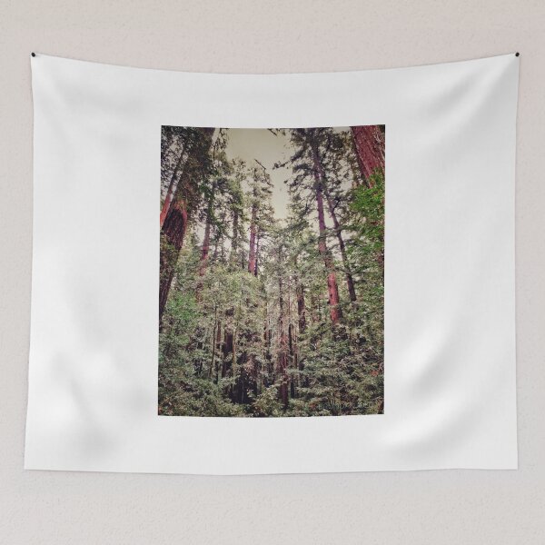 Item preview, California Redwoods 3 designed and sold by brunoanjoloart.