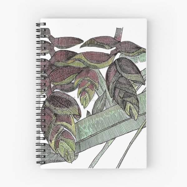 Item preview, Heliconia rostrata designed and sold by Rosa Elena Albornoz Mendez.