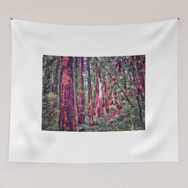 Item preview, California Redwoods 5 designed and sold by brunoanjoloart.