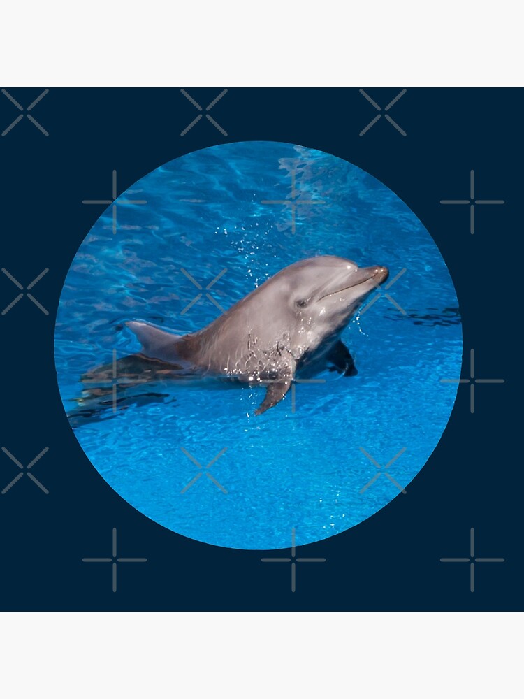 Thumbnail 2 von 2, Stofftasche, Geschenkidee Delfin Foto in Südafrika designt und verkauft von Igelchen.