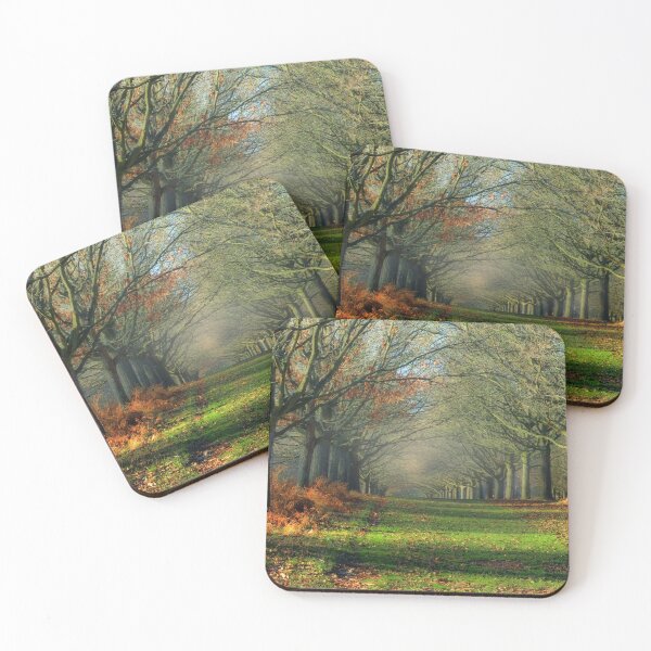 Item preview, #149 Avenue of trees at Wollaton Hall and Deer Park, Nottingham designed and sold by phutball.