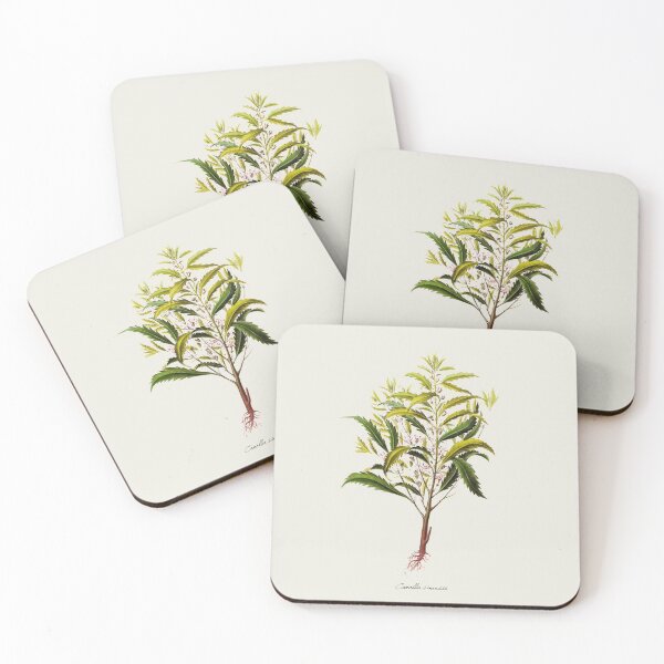 Item preview,  Vintage Botanical Tea Plant-Solid Background designed and sold by ElectricCoffee.