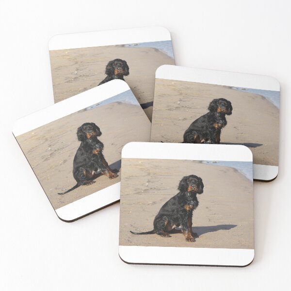 Aperçu de l'œuvre Gordon Setter créée et vendue par Zoozwear Apparel.