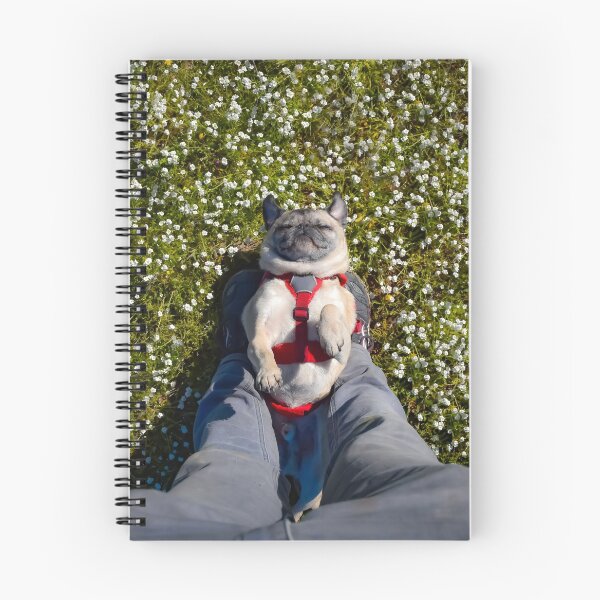 Item preview, Blissed Out Pug Takes Confetti Flower Nap designed and sold by pugventurephoto.