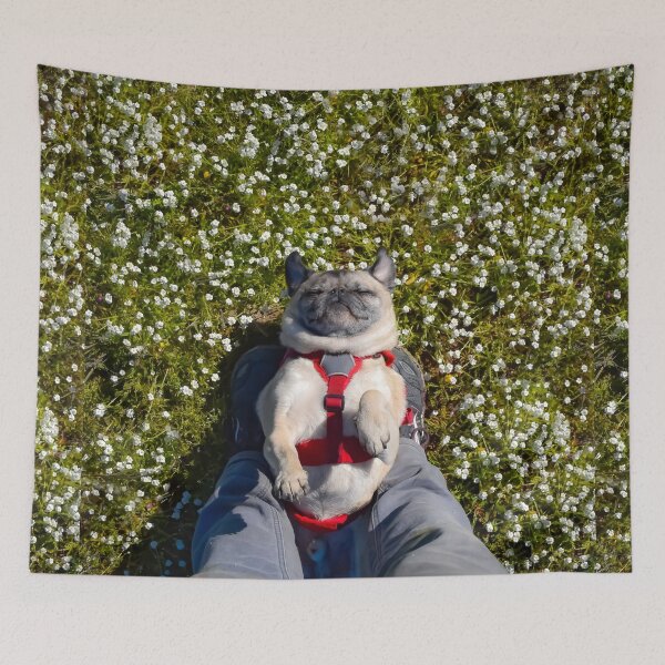 Item preview, Blissed Out Pug Takes Confetti Flower Nap designed and sold by pugventurephoto.