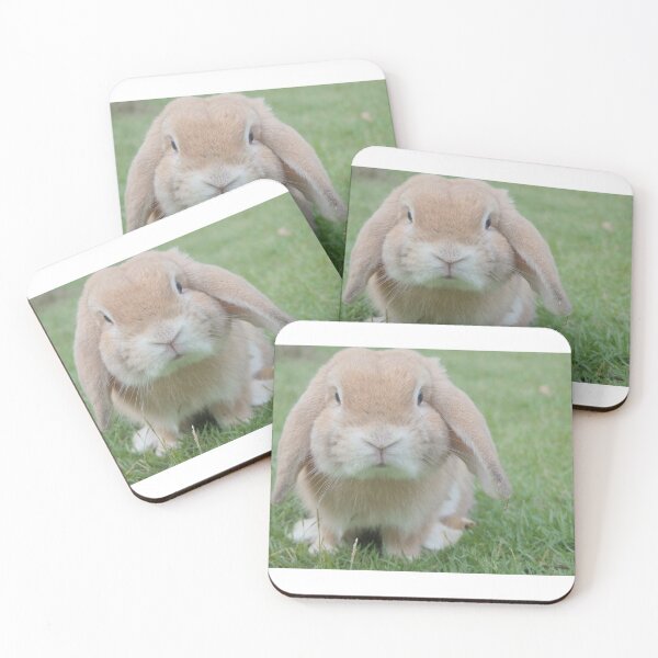 Item preview, Bunny designed and sold by Zoozwear Apparel.