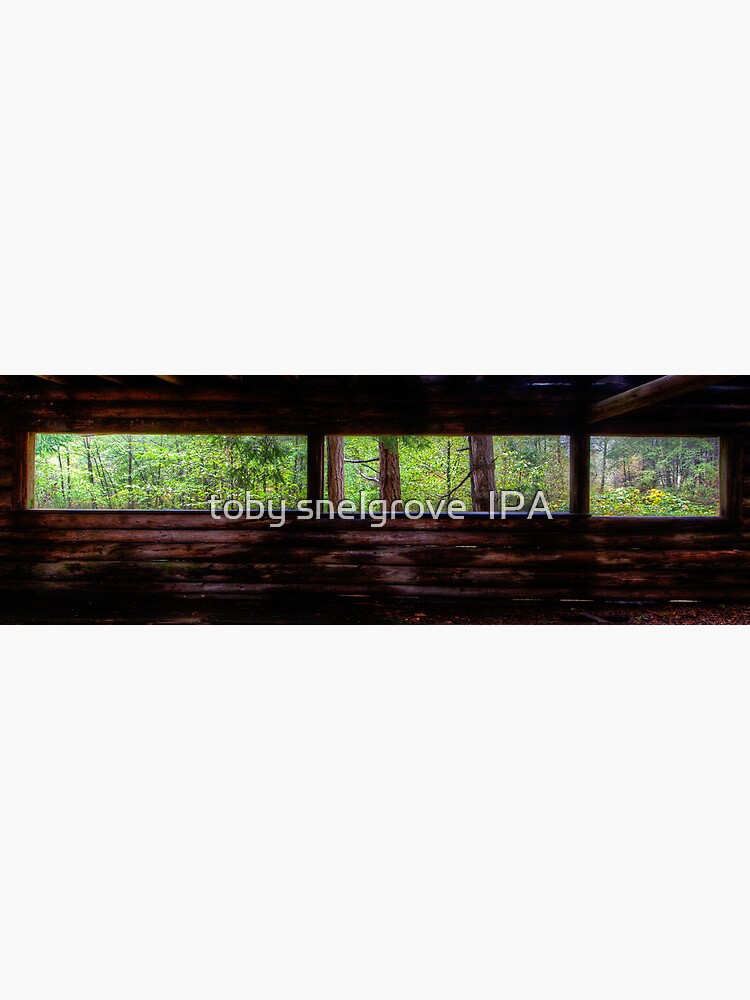 Mayne Island Abandoned Cabin - The View by tobysnelgrove