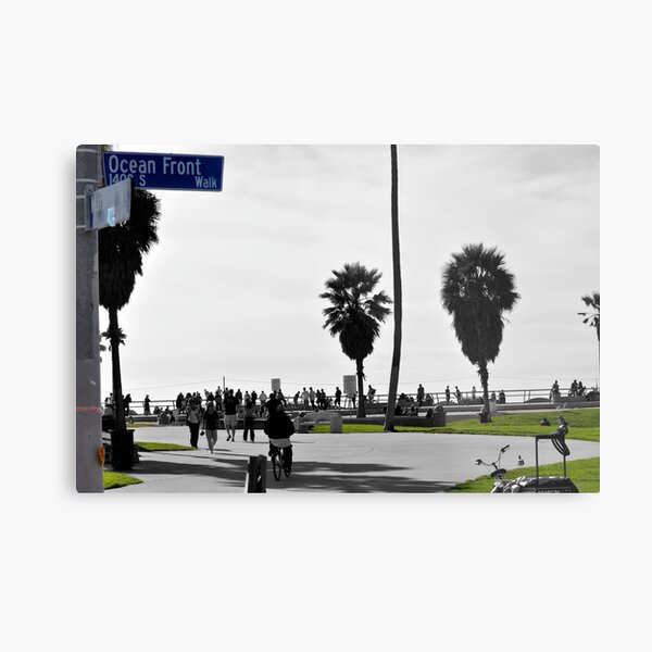 Untitled Metal Print