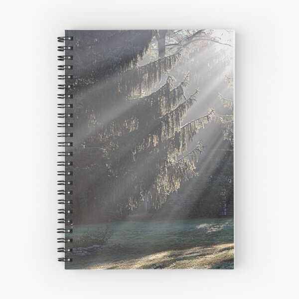 Item preview, RAYS OF SUN designed and sold by BOLLA67.
