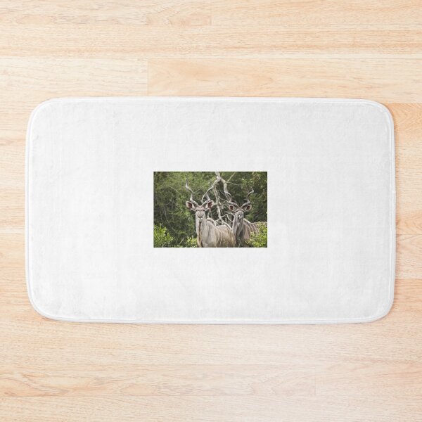 Item preview, Kudu African designed and sold by Zoozwear Apparel.