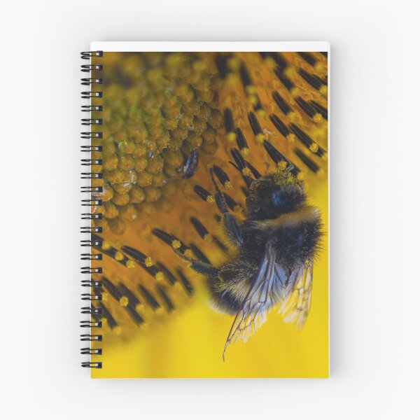 Item preview, bee pollinating a sunflower wythal West Midlands stunning macro photography designed and sold by kwn1804.