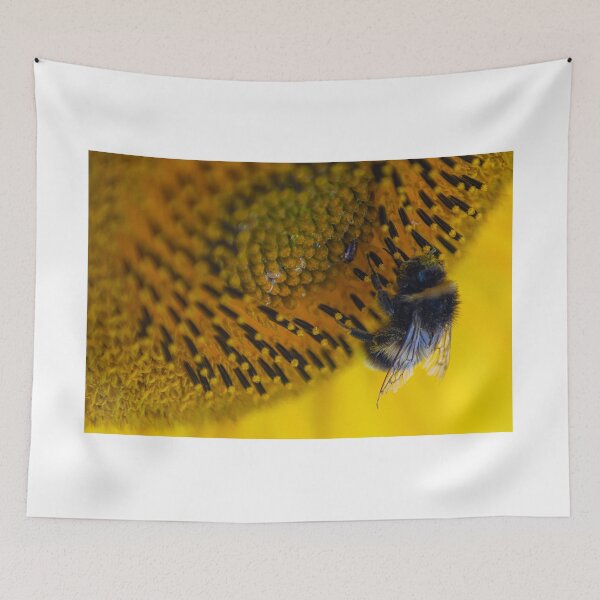 Item preview, bee pollinating a sunflower wythal West Midlands stunning macro photography designed and sold by kwn1804.