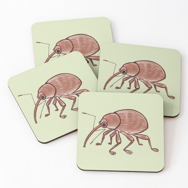 Item preview, Weevil Beetle! designed and sold by kiaako.